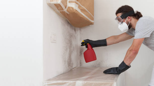 Professional Mold Remediation technician working in Line Lexington, PA
