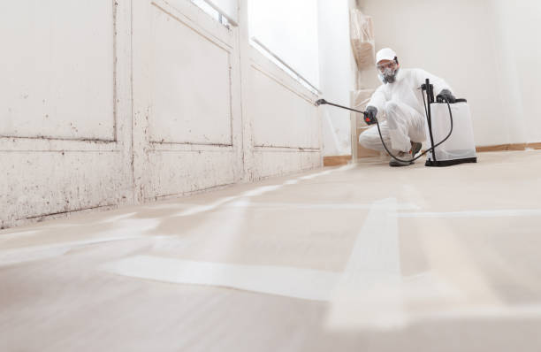 24/7 Emergency Mold Remediation experts in Line Lexington, PA
